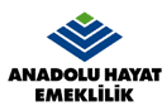 Anadolu Hayat'tan 16,7 milyon YTL kar