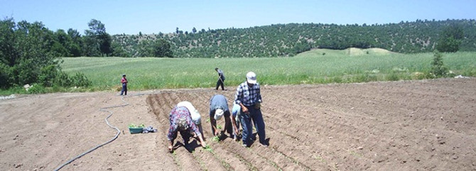 Çiftçiler, su sayacı uygulaması için ek süre istiyor