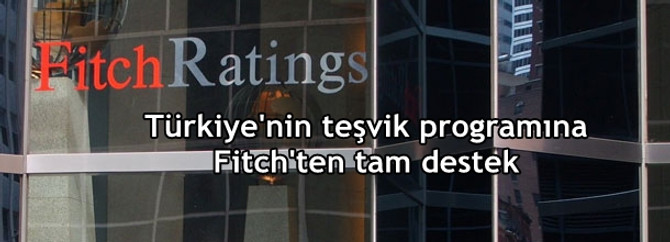 Fitch'ten teşvik yorumu