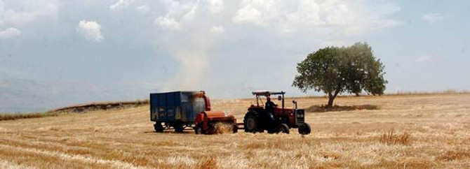Trakya çiftçisi sertifikalı tohumdan vazgeçmiyor