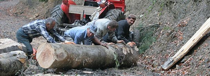 Orman bakanları İstanbul'da buluşuyor