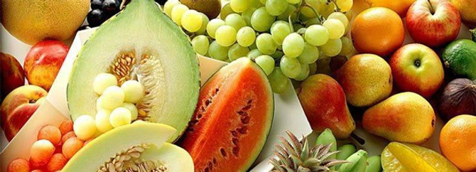 "Organik Üretim Günleri Fuarı" açıldı