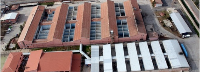 Cezaevlerinde 2.5 günde 1 kişi ölüyor