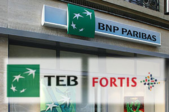 TEB ve Fortis'te mevcut faaliyetlere şimdilik devam