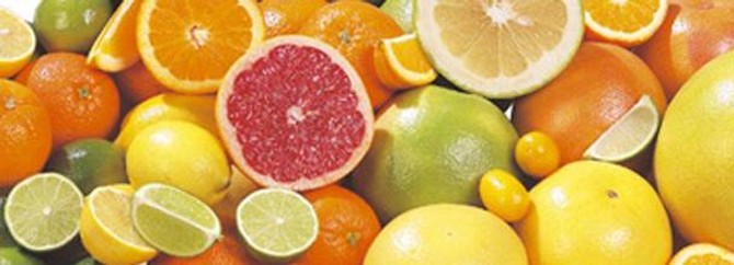 Narenciye balı üreticileri sezondan memnun değil