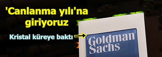 Goldman 2013'ü 'canlanma yılı' olarak gördü