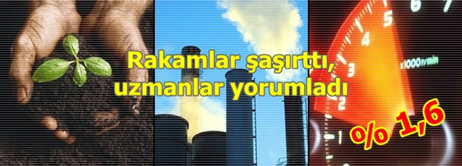 Uzmanlar büyüme rakamlarını yorumladı