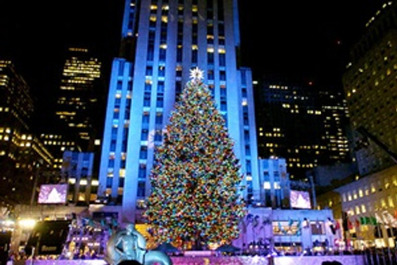 New York'ta "ağaç" turizmi
