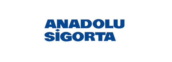 Nemtaş, Anadolu Sigorta hissesi alacak