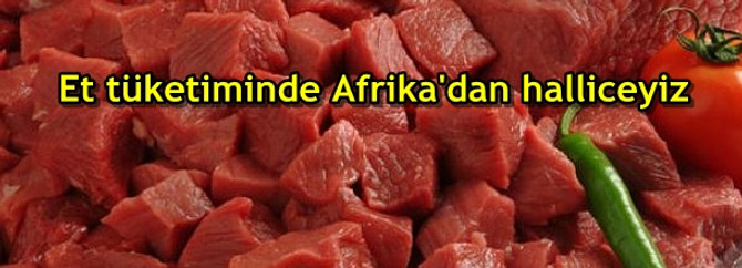 Et tüketiminde Afrika'dan halliceyiz