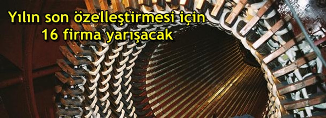 Yılın son özelleştirmesi için 16 firma yarışacak