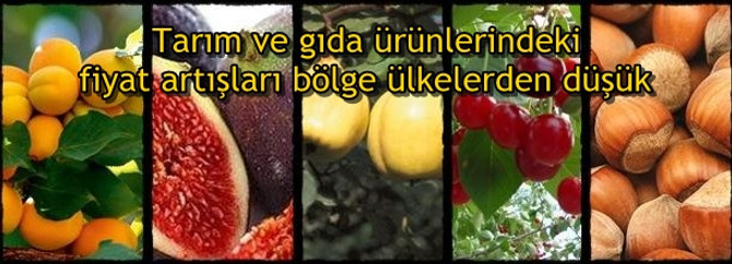 Fiyat artışları bölge ülkelerden düşük