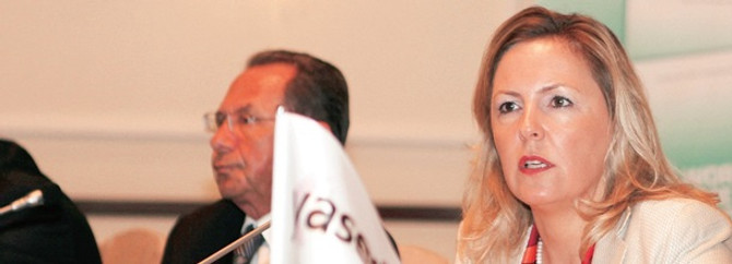 Özelleştirmeler tamamlanırsa 2013'te yabancı sermaye artar
