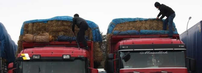 İthalat samanın ateşini aldı