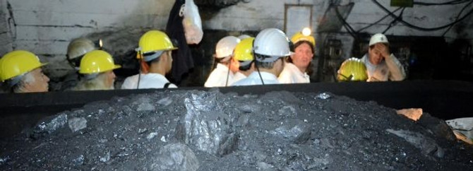 Özel sektör atıl ocakları işletti, TTK kazandı