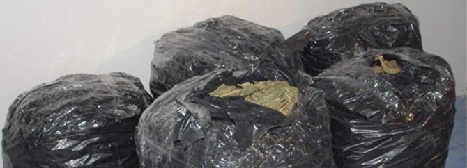 Elazığ'da 31 kilo esrar ele geçirildi