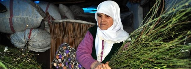 84 yaşında hala çalışıyor