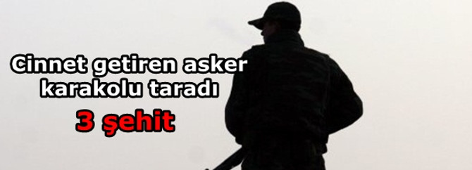 Cinnet getiren asker karakolu taradı: 3 şehit