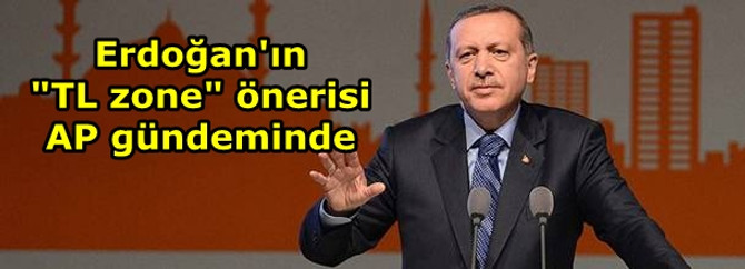 Erdoğan'ın "TL zone" önerisi AP gündeminde