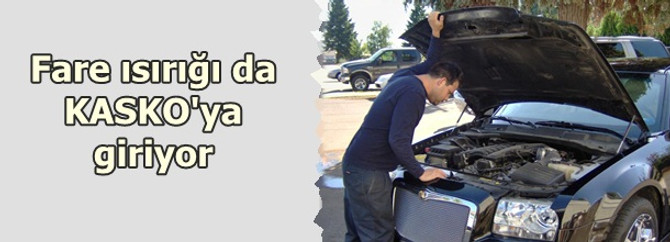 Kemirgenlerin verdiği zarar kasko kapsamında