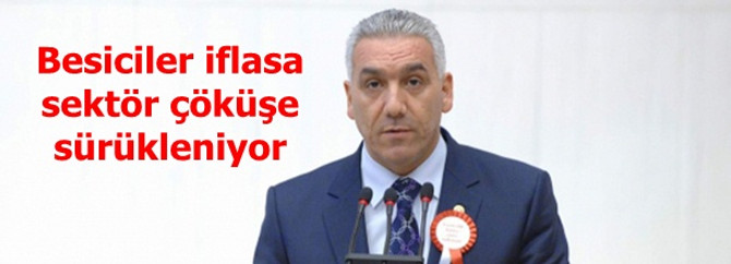Besiciler iflasa, sektör çöküşe sürükleniyor