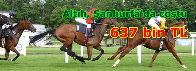 Şanlıurfa altılısı 636.972 TL verdi