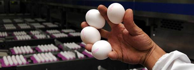 Yumurtada indirim tüketiciye yansıtılmadı