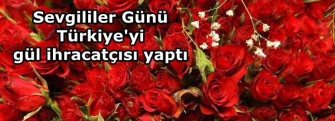 Sevgililer Günü, Türkiye'yi gül ihracatçısı yaptı