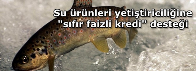 Su ürünleri yetiştiriciliğine "sıfır faizli kredi" desteği