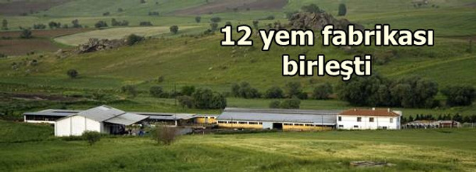 12 fabrika birleşti