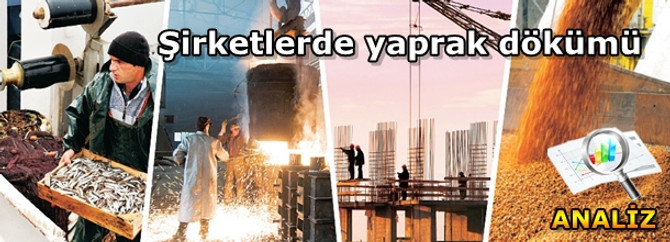 Şirketlerde yaprak dökümü
