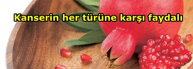 Kanserin her türüne karşı faydalı