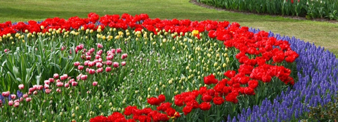 Yalovalı çiçekçi, 'Garden' ile ihracatı 10 kat artıracak
