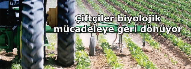 Çiftçiler biyolojik mücadeleye geri dönüyor