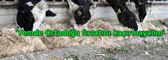'Yemde Ortadoğu fırsatını kaçırmayalım'