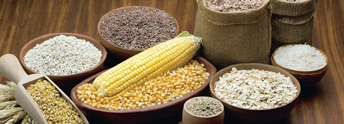 Tahılda yüzde 30'luk rekolte artışı bekleniyor