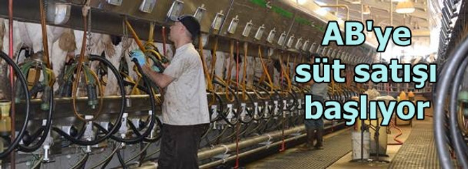 AB'ye süt satışı başlıyor