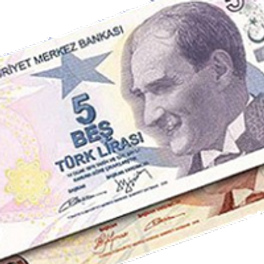 Mor 5 liralar bugün tedavüle çıkıyor
