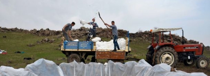 Yaz geliyor, onlar kar depoluyor