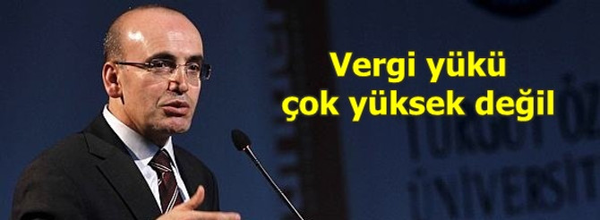 "Türkiye'de vergi yükü çok yüksek değil"