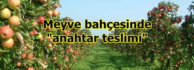 Meyve Bahcesinde Anahtar Teslimi Donemi Tarim Haberleri