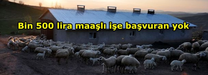 Bin 500 lira maaşlı işe başvuran yok