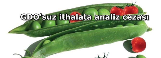 GDO'suz ithalata analiz cezası