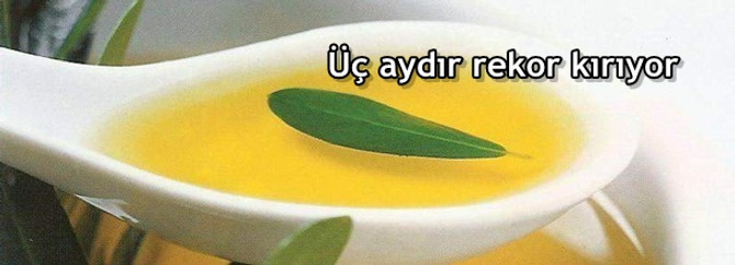 Üç aydır rekor kırıyor