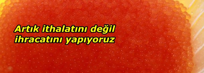 Artık havyarın ithalatını değil ihracatını yapıyoruz