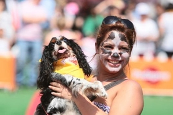 Pedigree Petfest 2013 Life Park'ta