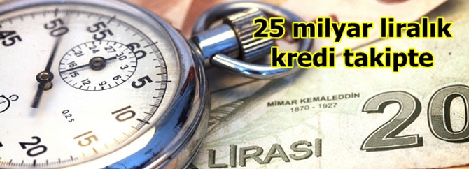 25 milyar liralık kredi takibe düştü