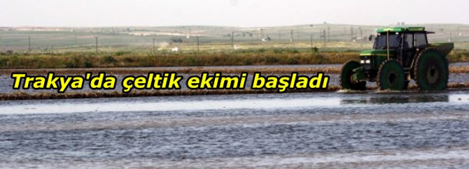 Trakya'da çeltik ekimi başladı