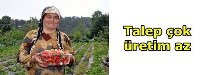 Talep çok, üretim az