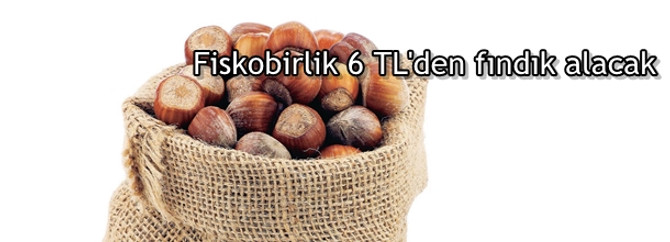 Fiskobirlik 6 TL'den fındık alacak